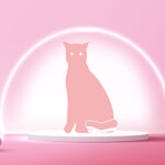 Jhalak Detergent Powder