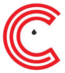 Wedding Photographer Services