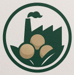 Pure Turmeric Powder