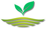 Floral International LLP