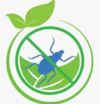 Bed Bugs Control Service