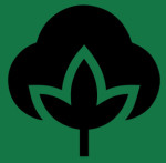 Organic Cotton