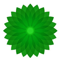 IRAA Traders & Suppliers