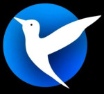 Bird Netting Service