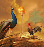 Sri Thiruthanigai Murugan Traders