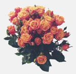 Decoration for Wedding