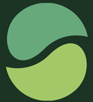 Foreign Currency Exchange Service