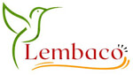 lemongrass oil