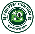 Cockroaches Pest Control