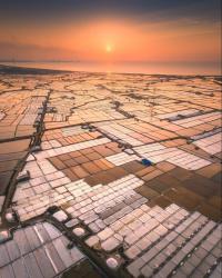 thoothukudi/velan-salt-pvt-ltd-14351761 logo