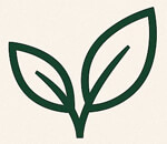 jalgaon/h-m-naturals-14563706 logo