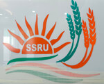 karnal/sunshine-rice-unit-14625600 logo