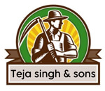 Teja singh & sons