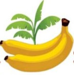 jalgaon/plantea-solution-bodwad-jalgaon-14730626 logo