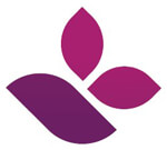 Salt and Sugar Face and Body Scrub