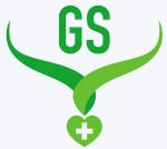 Gs home health care