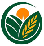 morvi/swaminarayan-exports-halvad-morvi-14855187 logo