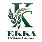 ranchi/ekka-urban-farms-14887852 logo
