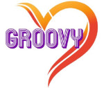 rajkot/groovy-multi-services-private-limited-14926578 logo
