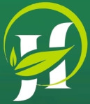 Zatka Machine LED Light