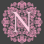 visakhapatnam/nandiniz-aura-15009242 logo