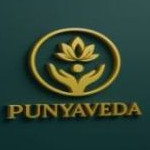 buddhanagar/punyaveda-15057537 logo