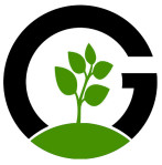 Import Export License Service