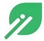 Social Media Advertising