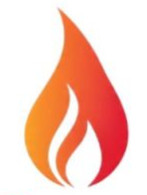 bhopal/flame-international-co-15235283 logo