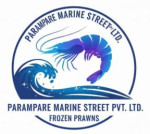 nellore/parampare-marine-street-pvt-ltd-15407841 logo