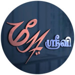 virudhu-nagar/meera-arts-stickers-15408091 logo