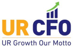 Virtual CFO Services