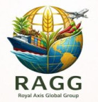 mahesana/royal-axis-global-group-15506356 logo