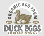 Duck Eggs