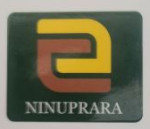 NINUPRARA INDIA PRIVATE LIMITED