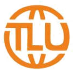 Airline Ticketing Agents