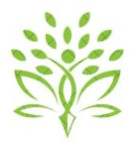 Disposable Paper Plates