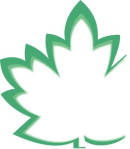 Para Bromo Phenol Liquid