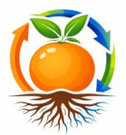 kolkata/orangeroot-global-natural-products-15735351 logo