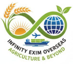 bhubaneswar/infinity-exim-overseas-15796973 logo