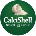 CalciShell