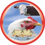Growel Agrovet Private Limited