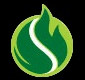 Oil Seeds