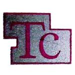 ankleshwar/trishul-containers-2493958 logo