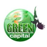 Private Equity Advisory Service