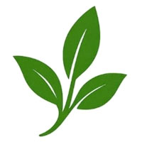 bhilwara/solanki-enterprises-bapu-nagar-bhilwara-2936441 logo