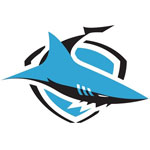 Project Management Services