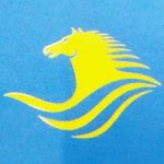 Womens Leather Pants