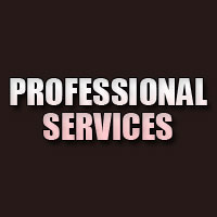 Professional Services