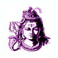 Tour Travel Services